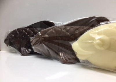 Chocolate Carp Faces
